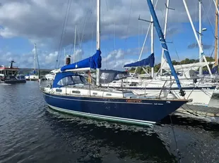 Contessa 32 used - photo 1