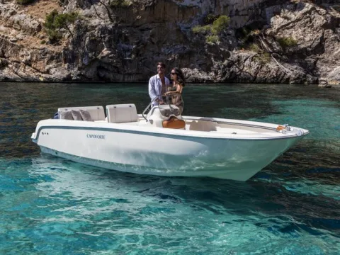 Capoforte FX 190 d'occasion - photo 1