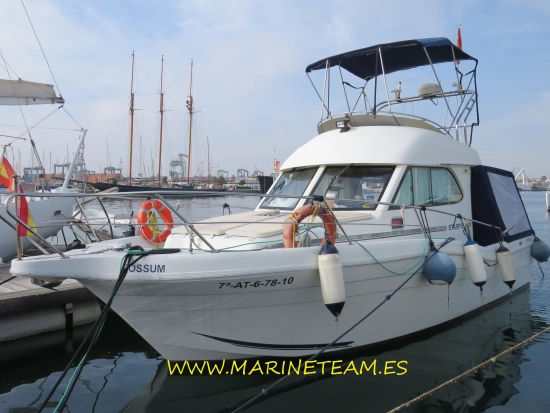 Starfisher 1060 usato - foto 1