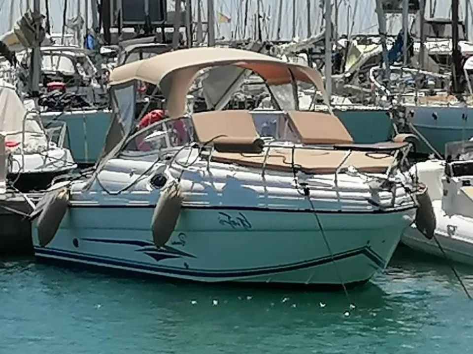 Ranieri Sea Lady 24 gebraucht - Foto 1