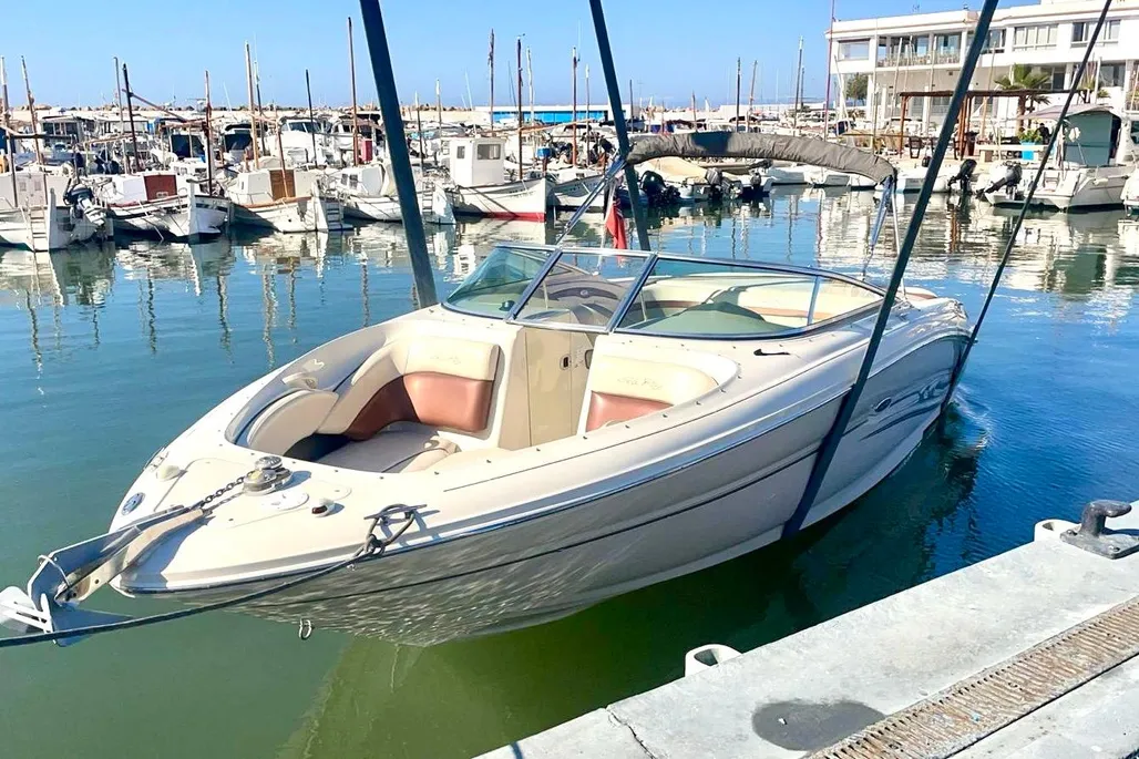 Sea Ray 240 Select usato - foto 1
