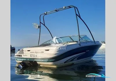 Sea Ray 190 d'occasion - photo 1