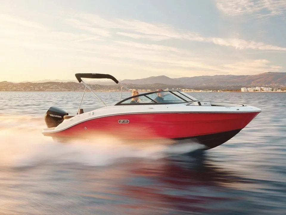 Sea Ray SPX 210 Outboard gebraucht - Foto 1