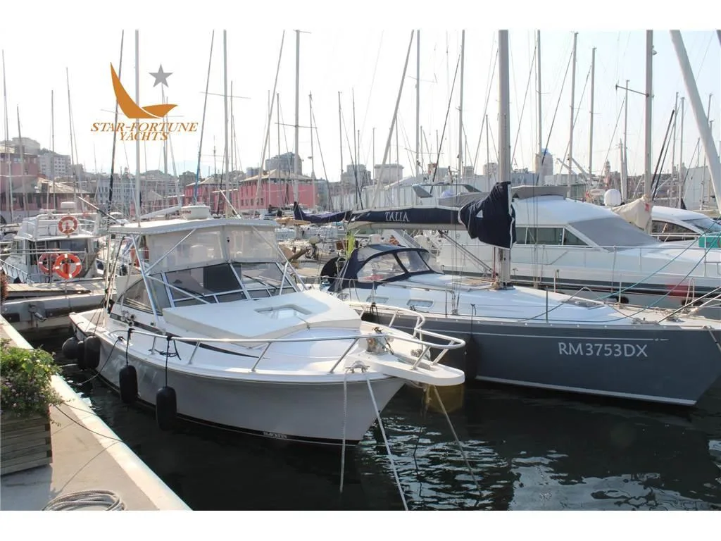 Blackfin 31 Combi gebraucht - Foto 1