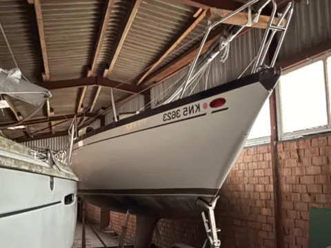 Comar Cornetino 801 usato - foto 1