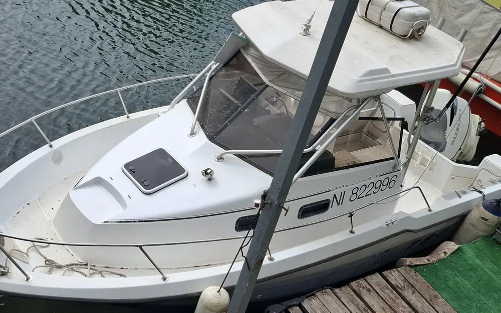 Bayliner Trophy 2502 gebraucht - Foto 1