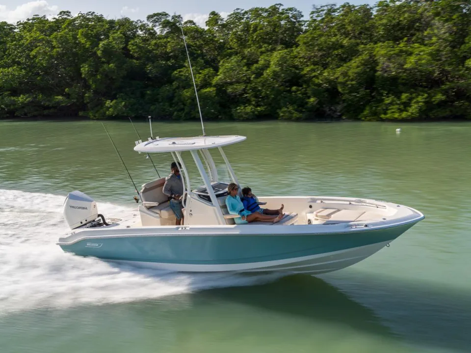 Boston Whaler 250 DAUNTLESS used - photo 1