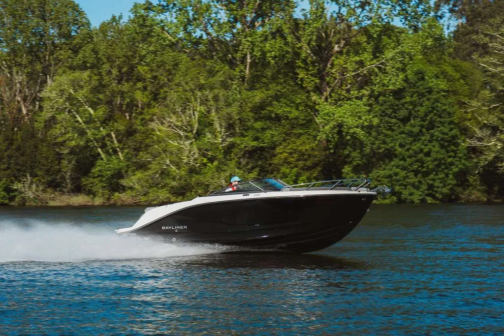 Bayliner C21I usato - foto 1