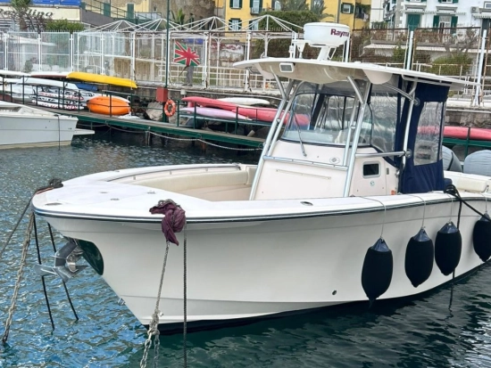 Grady-White 306 CC gebraucht - Foto 1