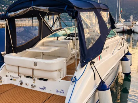 Sea Ray Sundancer 24 usato - foto 1