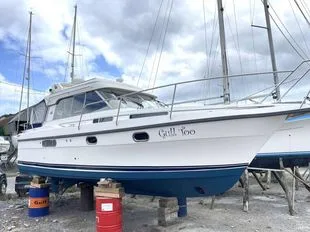 Nimbus 310 Coupe used - photo 1