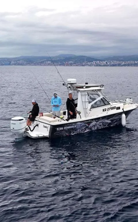 Bayliner 2509 usato - foto 1