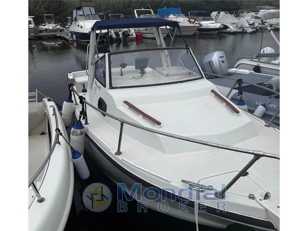 Cantiere navale parente delfino 60 CABIN usato - foto 1
