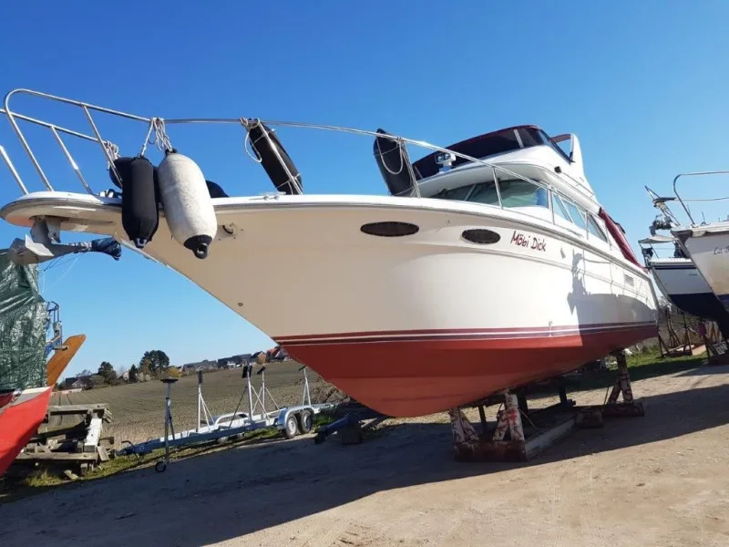 Sea Ray 370 DB usato - foto 1