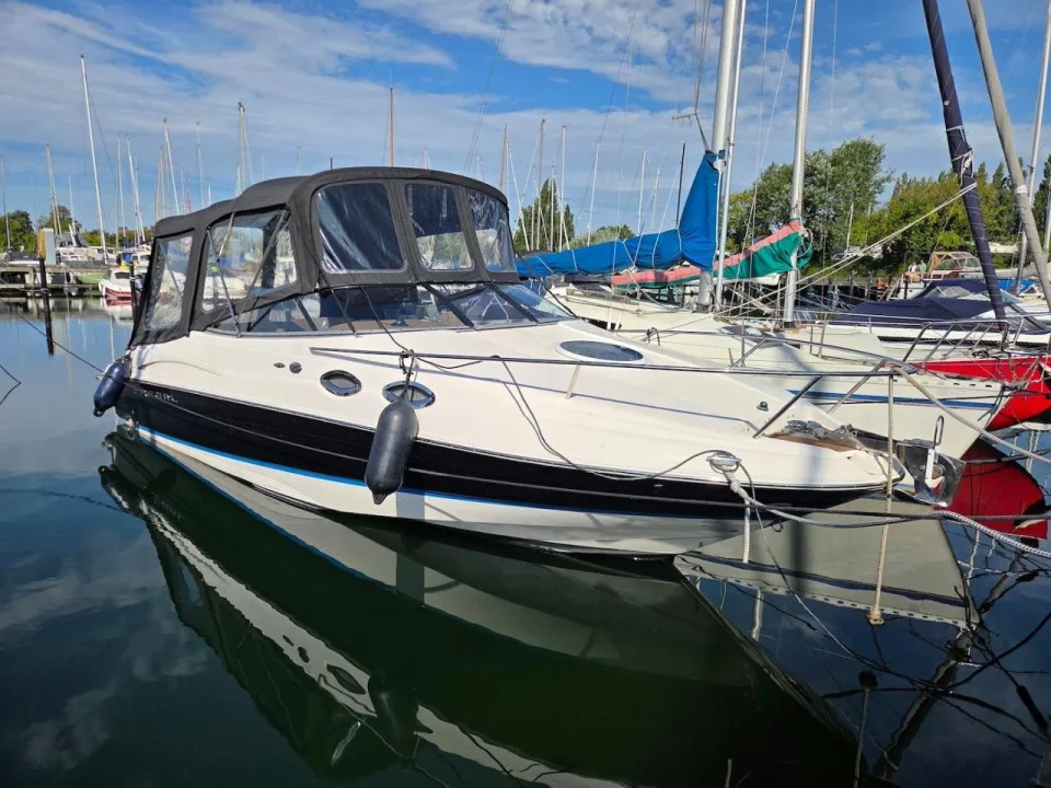Regal 2650 Cuddy gebraucht - Foto 1