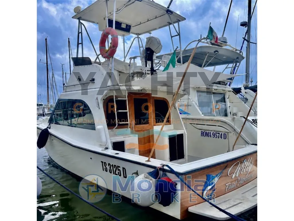 Albemarle 32' Fly gebraucht - Foto 1