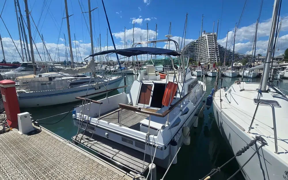 Jeanneau IMPERATOR 900 gebraucht - Foto 1