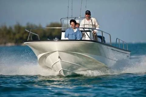 Boston Whaler 190 Montauk used - photo 1
