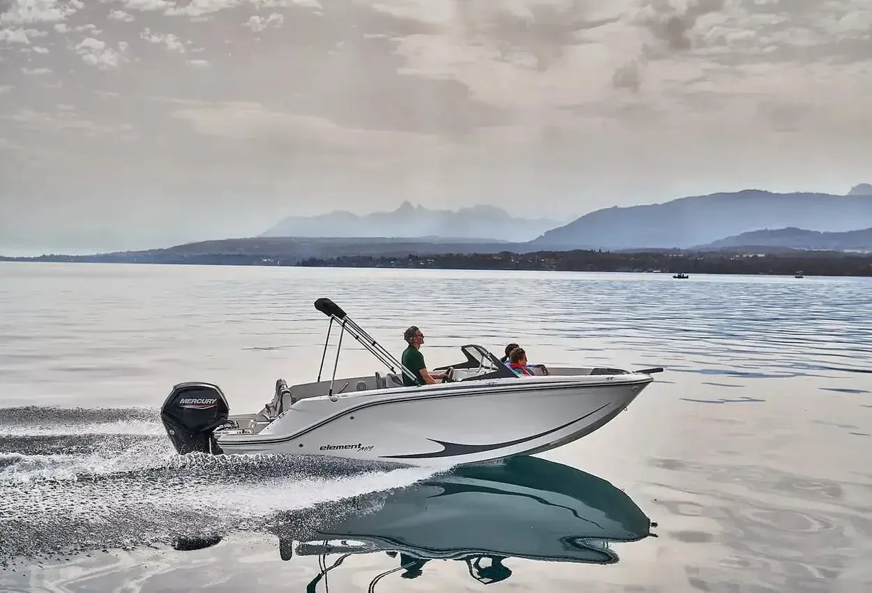 Bayliner M 19 d'occasion - photo 1
