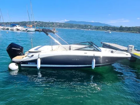 Sea Ray 210 SPXO gebraucht - Foto 1