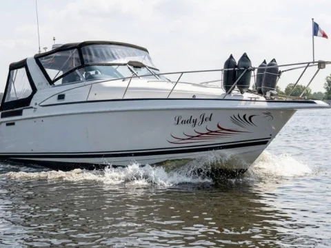 Baja 290 d'occasion - photo 1