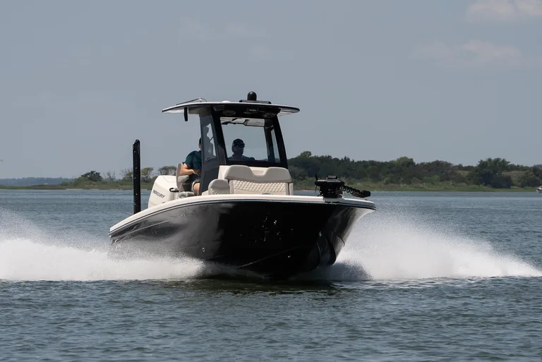 Scout 261 XSS