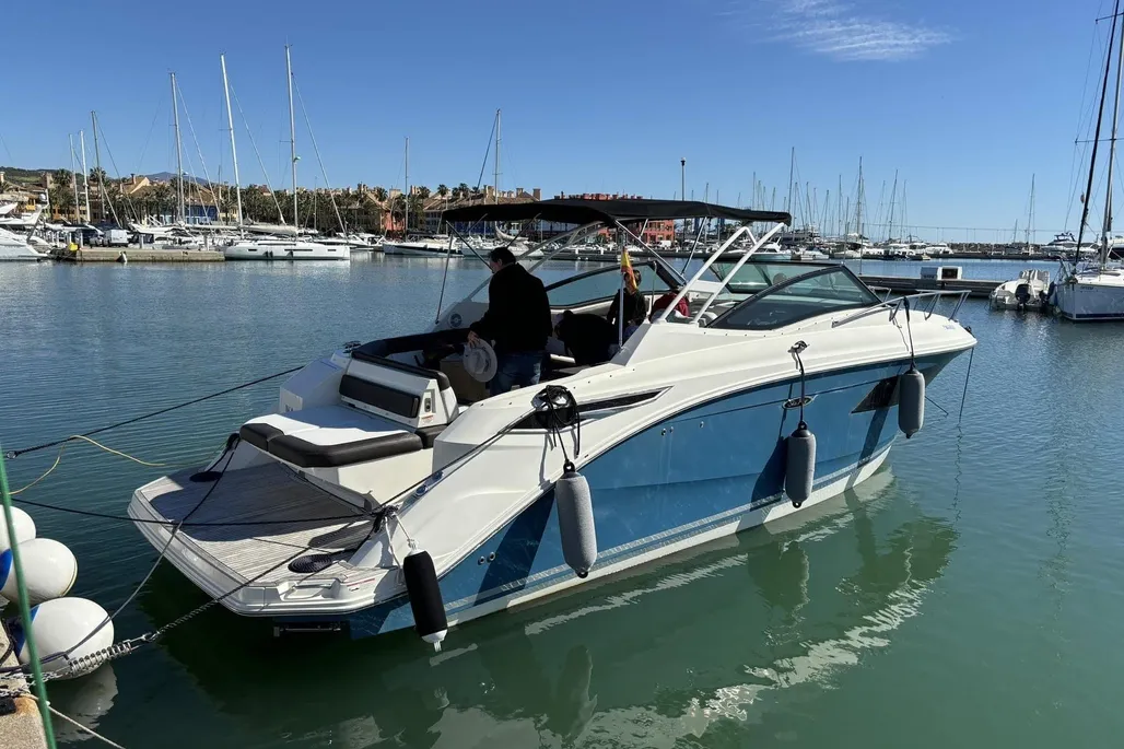 Sea Ray Sundancer 320 usato - foto 1