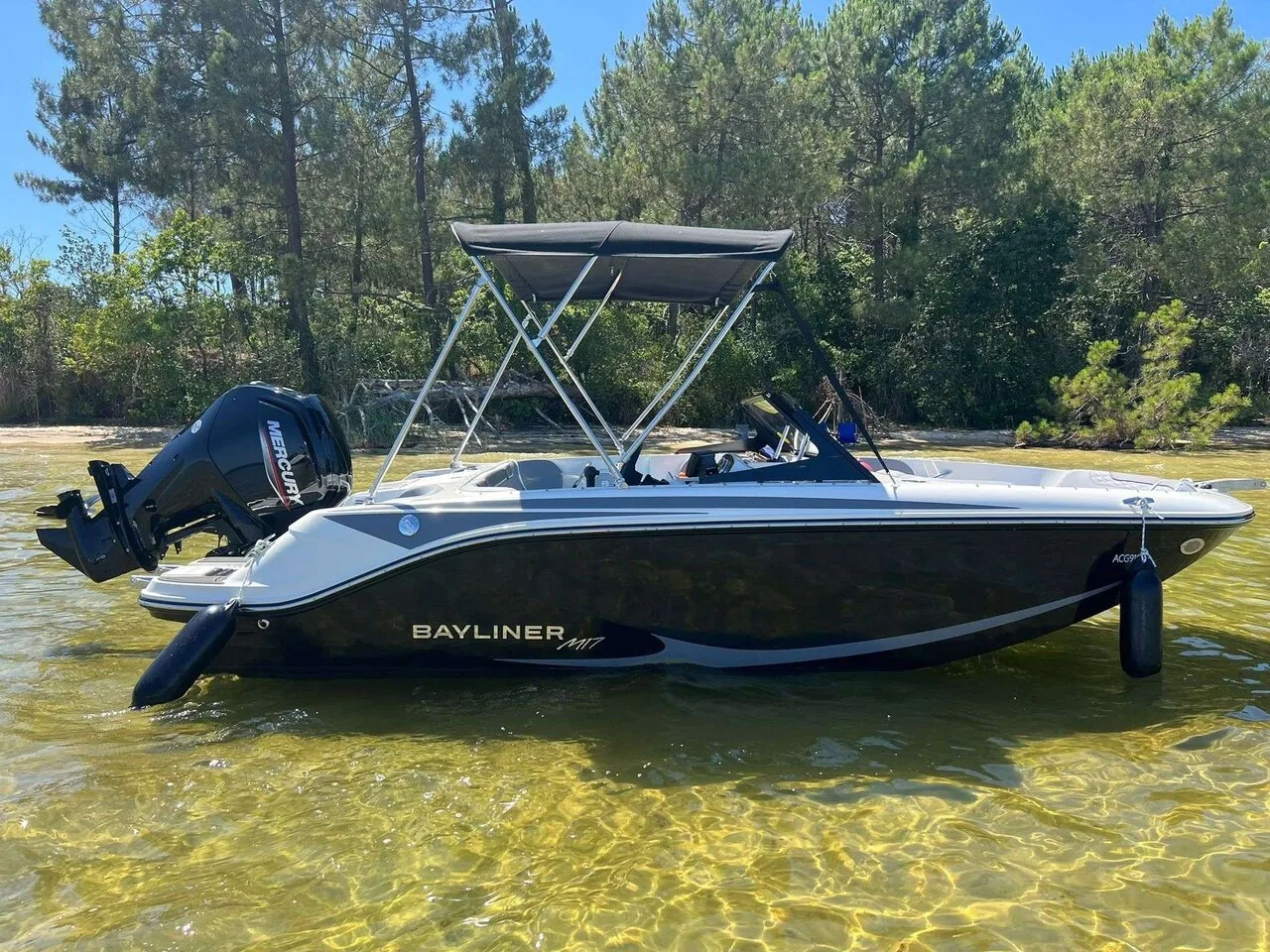 Bayliner Element M17 gebraucht - Foto 1