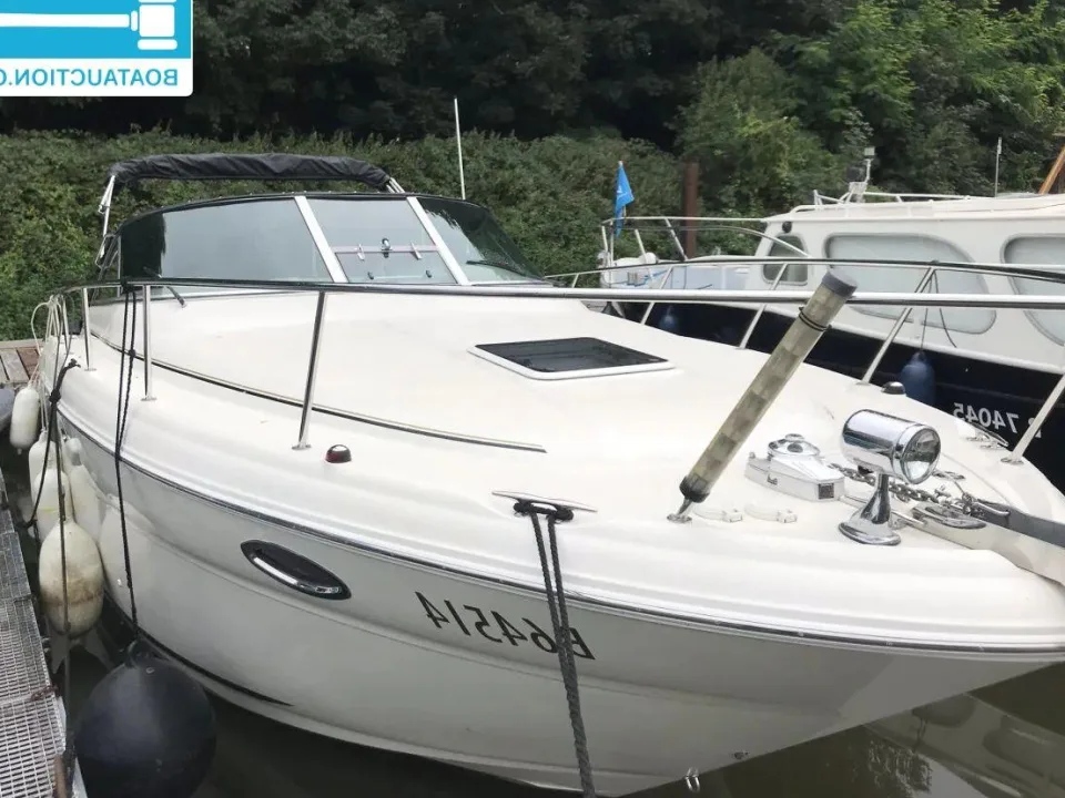 Sea Ray Amberjack 315 gebraucht - Foto 1