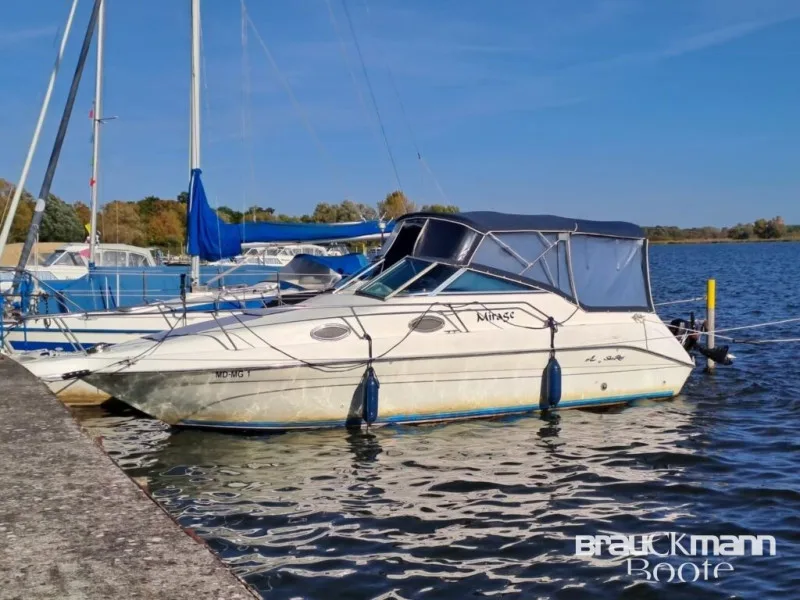 Sea Ray 250 DA gebraucht - Foto 1