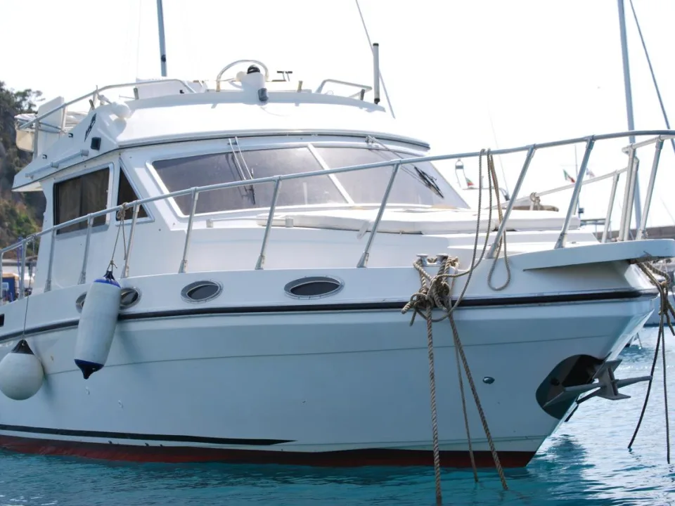 Piantoni Onda Azzurra used - photo 1