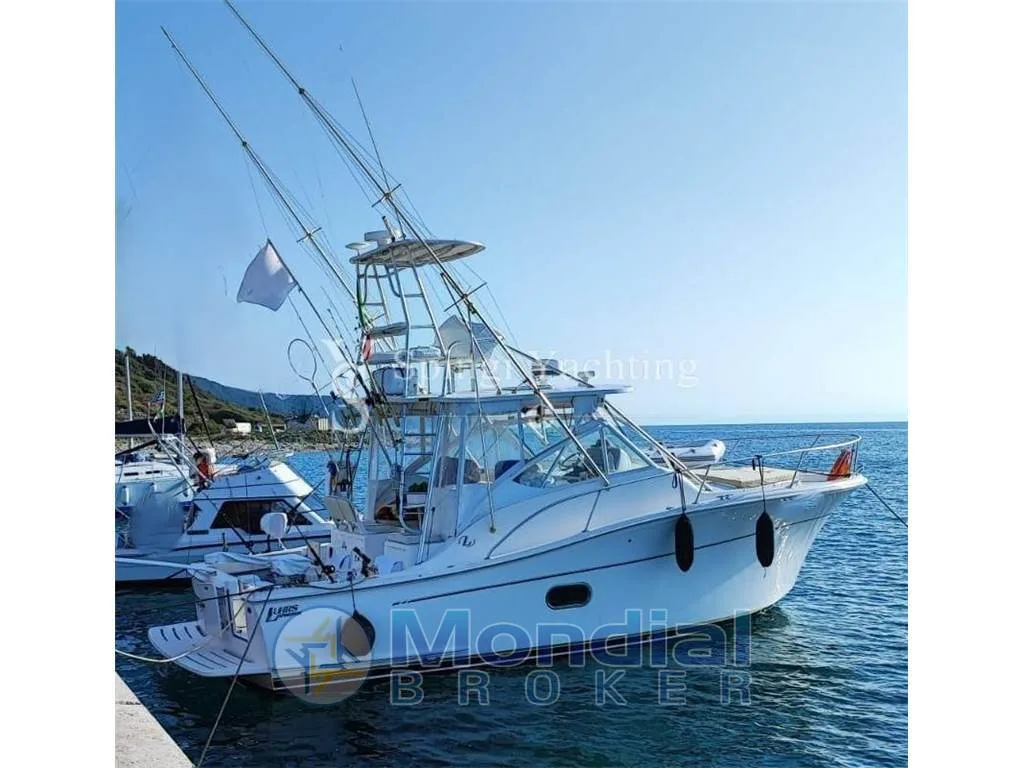 Luhrs 37 canyon open used - photo 1