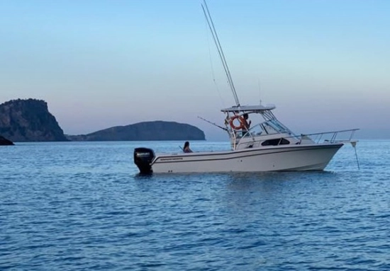 Grady-White SailFish 282 gebraucht - Foto 1