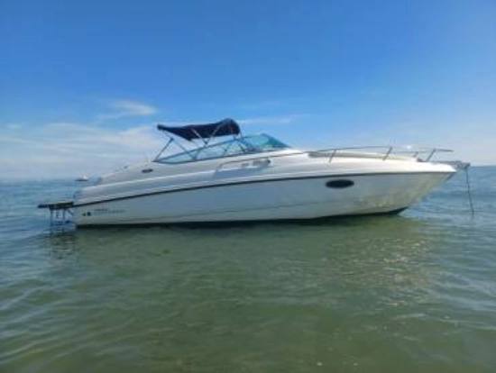 Chaparral 235SS used - photo 1