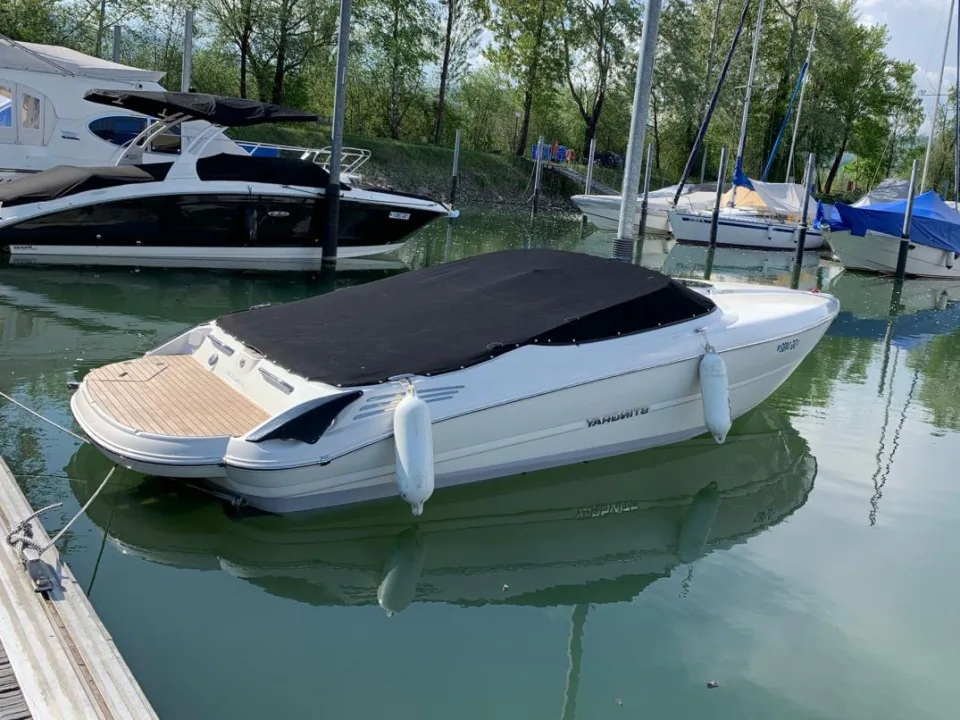 Stingray 225 SX used - photo 1