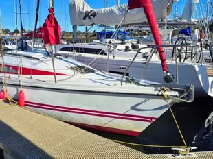 Pegasus 800 usato - foto 1