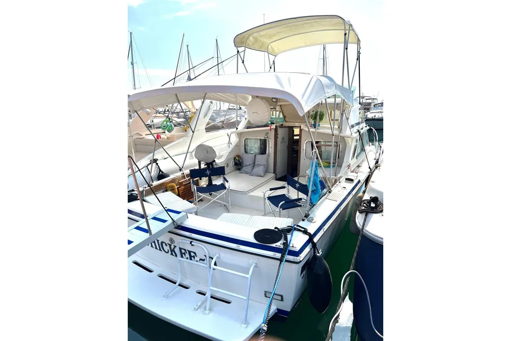 Bertram 28 Flybridge used - photo 1