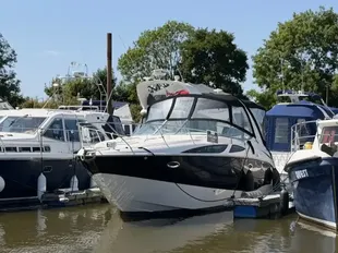 Bayliner 315 Cruiser gebraucht - Foto 1