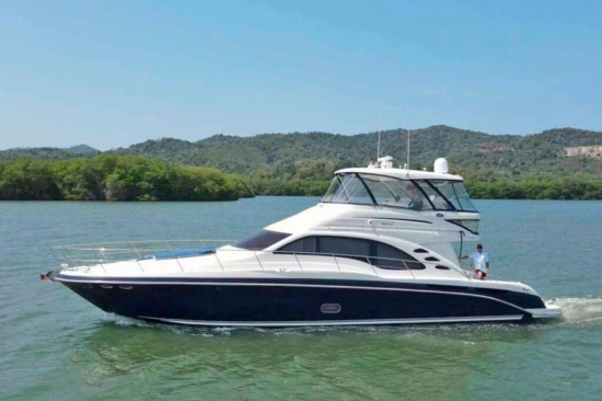 Sea Ray Sedan Bridge gebraucht - Foto 1