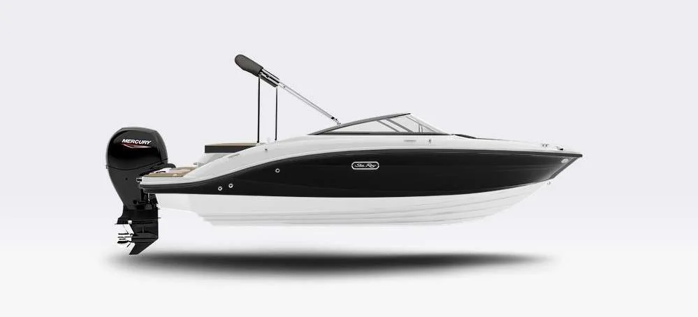 Sea Ray 190 SPOE gebraucht - Foto 1