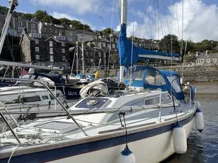 Westerly Tempest gebraucht - Foto 1