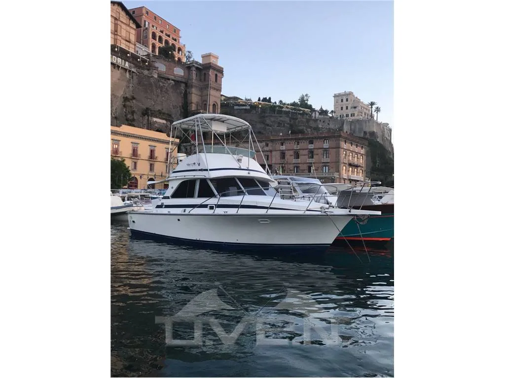 Bertram 35 convertible fly used - photo 1