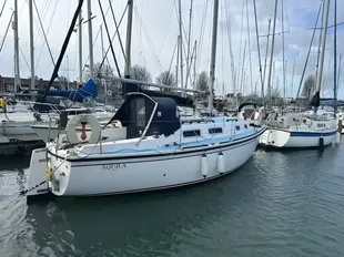 Westerly Griffon gebraucht - Foto 1