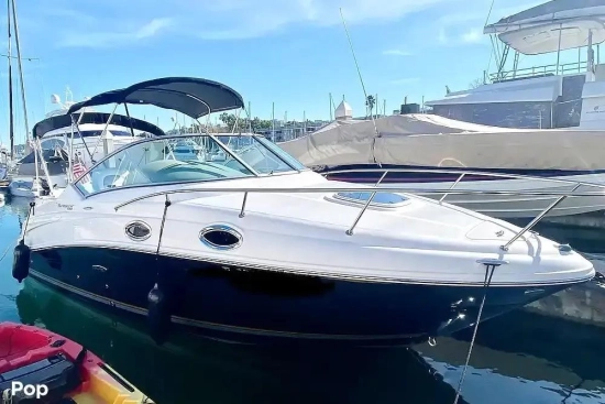 Sea Ray Sundancer 240 gebraucht - Foto 1