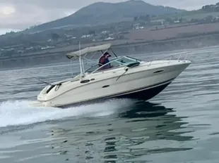 Sea Ray 225 Weekender gebraucht - Foto 1