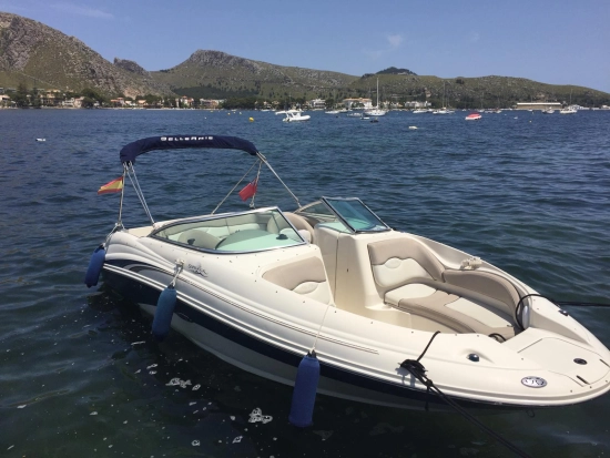 Sea Ray Sundeck 220 gebraucht - Foto 1