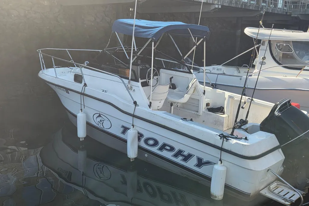 Bayliner 2102 Trophy Cuddy gebraucht - Foto 1