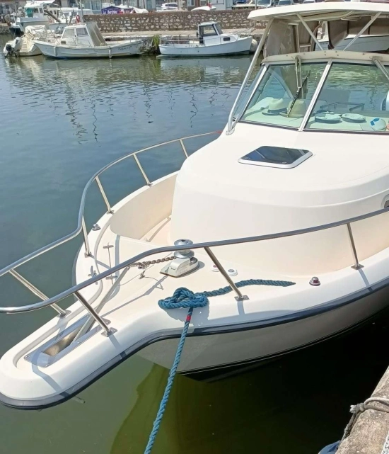 Pursuit 2870 WA usato - foto 1