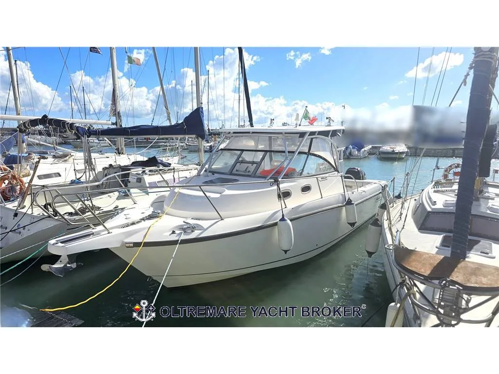 BOSTON WHALER 305 CONQUEST used - photo 1
