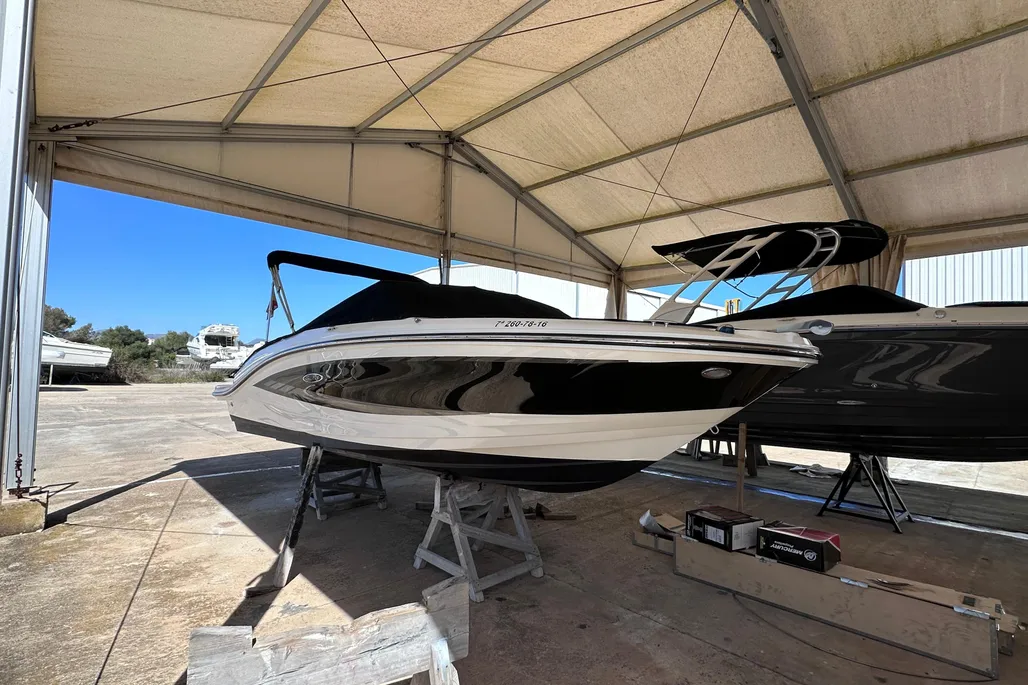 Sea Ray 19 SPX usato - foto 1